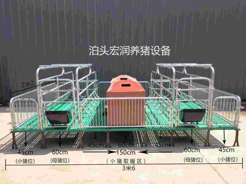 泊頭市宏潤養豬設備廠 專業打造高效養豬設備，助力現代養殖發展