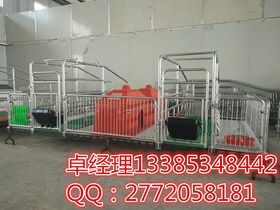 現代養(yǎng)豬設備 提升養(yǎng)殖效益與動物福利的關鍵