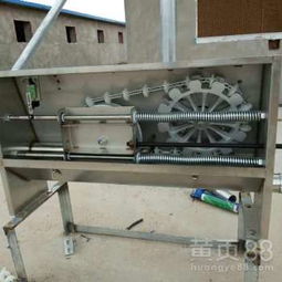 豬場自動化料線 養(yǎng)豬設備升級，邁向高效精準飼養(yǎng)新時代