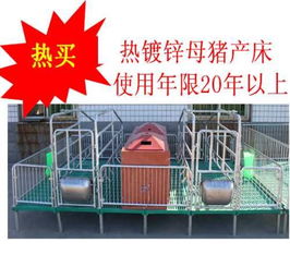 歐牧養(yǎng)豬設備 探析雙體母豬產床優(yōu)劣與市場報價誤區(qū)
