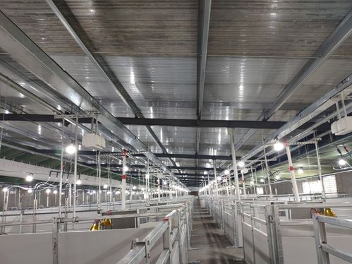 養(yǎng)豬規(guī)模化大勢所趨,規(guī)?；i場需要哪些養(yǎng)豬設備 欄位系統(tǒng)篇