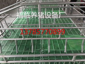 科學養(yǎng)豬的關(guān)鍵一環(huán) 現(xiàn)代化養(yǎng)豬設(shè)備的發(fā)展與應用