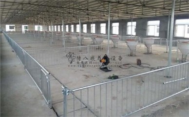 山東市場青睞的豬場圍欄與養豬設備指南