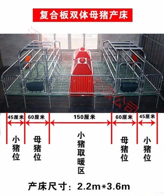 現代化養豬設備全解析 從母豬產床到保育床的高效應用